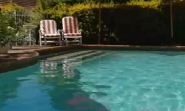 דורבן Duikerfontein Bed And Breakfast מראה חיצוני תמונה